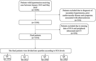 The Prevalence, Distribution, and Extent of Subclinical Atherosclerosis and Its Relation With Serum Uric Acid in Hypertension Population